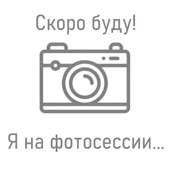 Вепрь антабка на цевье-0