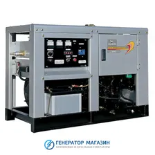 Газовый генератор Вепрь АГС 250-Т400 РК2