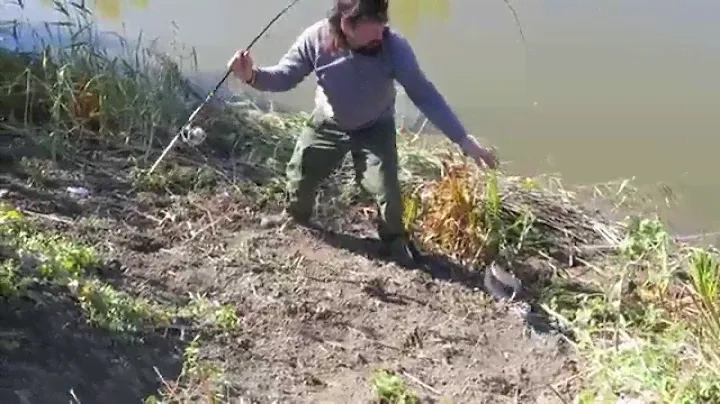 Вепрь 2 рыбы