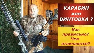 Винтовка или карабин? Как правильно? В чем отличие?